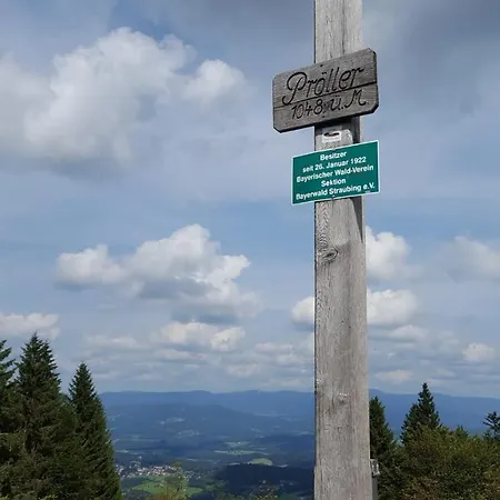 Appartement Gruen-Weiss Sankt Englmar Buitenkant foto