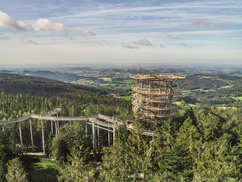 Grün-weiß Apartamento Sankt Englmar